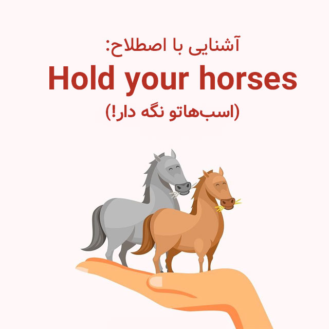 wordy - آموزش زبان انگلیسی با بازی - اصطلاح hold your horses 🐴